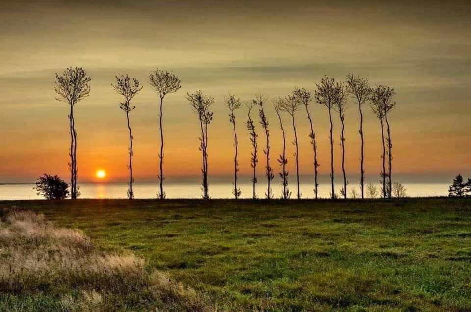 Domek Morski Swarzewo Exterior foto